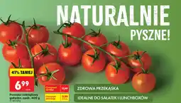 Biedronka Pomidory oferta