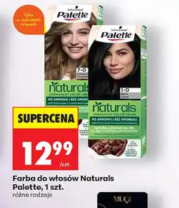 Biedronka Farba do włosów Palette oferta