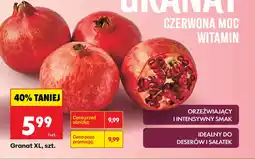 Biedronka Granat Smak oferta