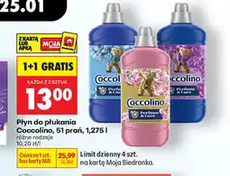 Biedronka Płyn do płukania Coccolino oferta