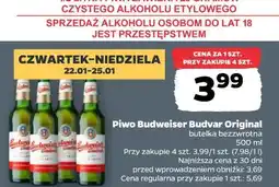 Netto Piwo Budweiser Budvar Original oferta