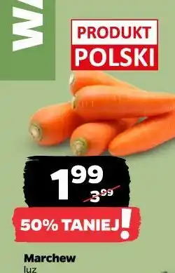 Netto Marchew oferta