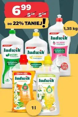 Netto Płyn do mycia naczyń/uniwersalny Ludwik oferta
