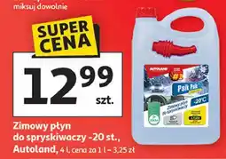 Auchan Zimowy płyn do spryskiwaczy -20 c z lejkiem Autoland oferta