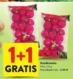 Intermarche Rzodkiewka folia oferta