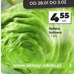 Odido Sałata lodowa oferta