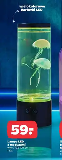 Netto Lampa LED oferta
