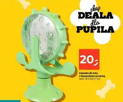 Dealz Zabawka dla kota oferta