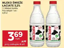 Stokrotka Mleko Łaciate oferta
