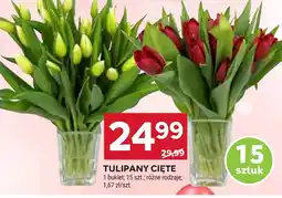 Stokrotka Bukiet tulipanów Tulipany oferta