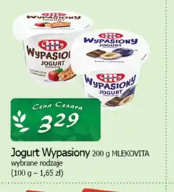 Cezar Delikatesy Mlekovita Jogurt Wypasiony oferta