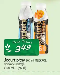 Cezar Delikatesy Mlekołaty Jogurt pitny oferta