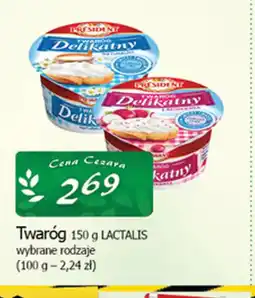 Cezar Delikatesy Lactalis Twaróg oferta