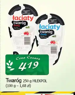 Cezar Delikatesy Laciate Twaróg oferta