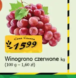 Cezar Delikatesy Winogrono czerwone oferta