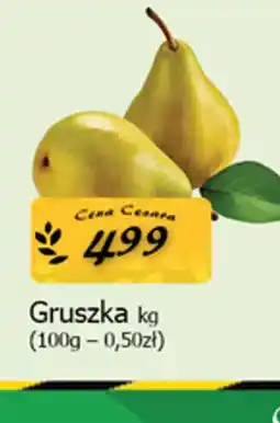 Cezar Delikatesy Gruszka oferta