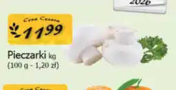 Cezar Delikatesy Pieczarki oferta