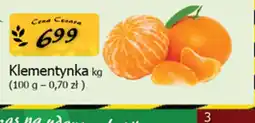 Cezar Delikatesy Klementynka oferta