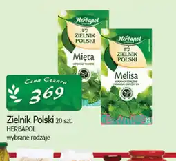 Cezar Delikatesy Herbapol Zielnik Polski oferta