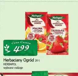 Cezar Delikatesy Herbapol Herbaciany Ogród oferta