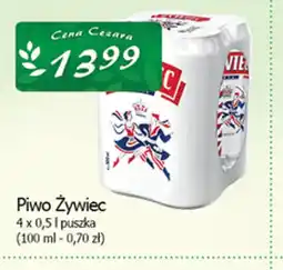 Cezar Delikatesy Piwo Zywiec oferta