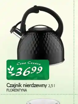 Cezar Delikatesy Florentyna Czajnik nierdzewny oferta