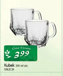 Cezar Delikatesy Galicja Kubek oferta