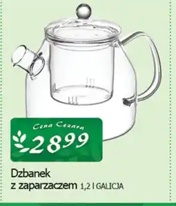 Cezar Delikatesy Galicja Dzbanek z zaparzaczem oferta