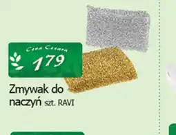 Cezar Delikatesy RAVI Zmywak do naczyń oferta