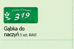 Cezar Delikatesy Ravi Gąbka do naczyń oferta