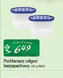 Cezar Delikatesy Pochłaniacz wilgoci bezzapachowy oferta