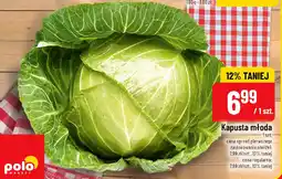 Polomarket Kapusta młoda oferta