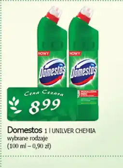 Cezar Delikatesy Domestos oferta