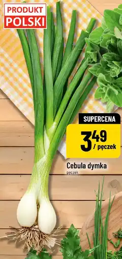 Polomarket Cebula dymka oferta