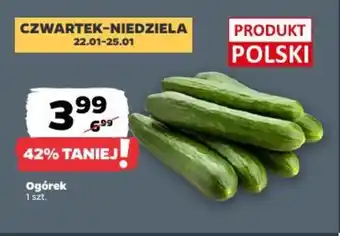 Netto Ogórek oferta