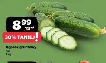 Netto Ogórek gruntowy oferta