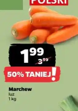 Netto Marchew oferta