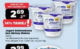 Netto Maluta jogurt śmietankowy oferta