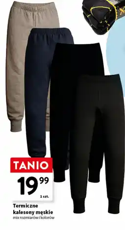 Intermarche Termiczne kalesony męskie oferta