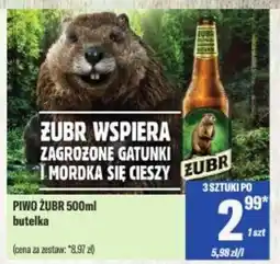 TomiMarkt Piwo żubr oferta