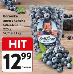 Intermarche Borówka amerykańska SAN LUCAR oferta