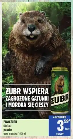TomiMarkt Piwo żubr oferta