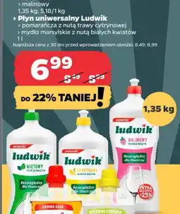 Netto Ludwik płyn do naczyń/uniwersalny oferta