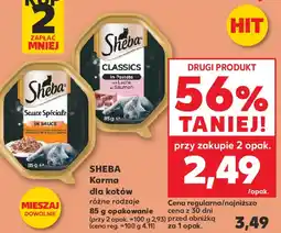 Kaufland SHEBA Karma dla kotów oferta