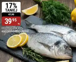 bi1 Dorada Królewska oferta