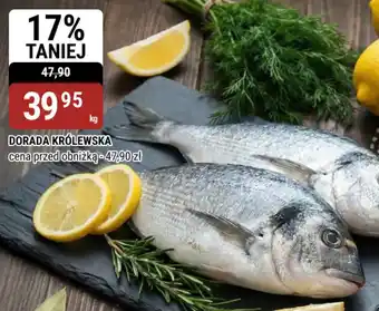 bi1 Dorada Królewska oferta