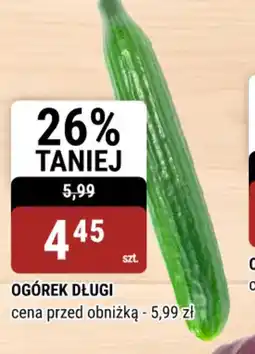 bi1 Ogórek długi oferta