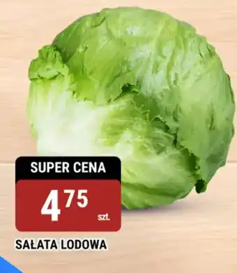 bi1 Sałata lodowa oferta