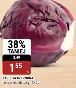 bi1 Kapusta czerwona oferta