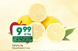 Avita Cytryny oferta